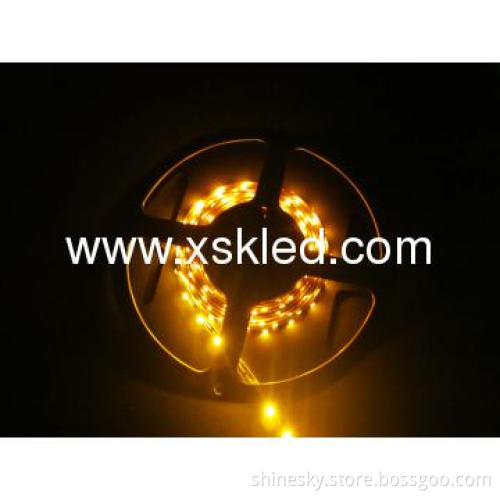 3528 Doulbe Row Color Changeable LED Strip Light